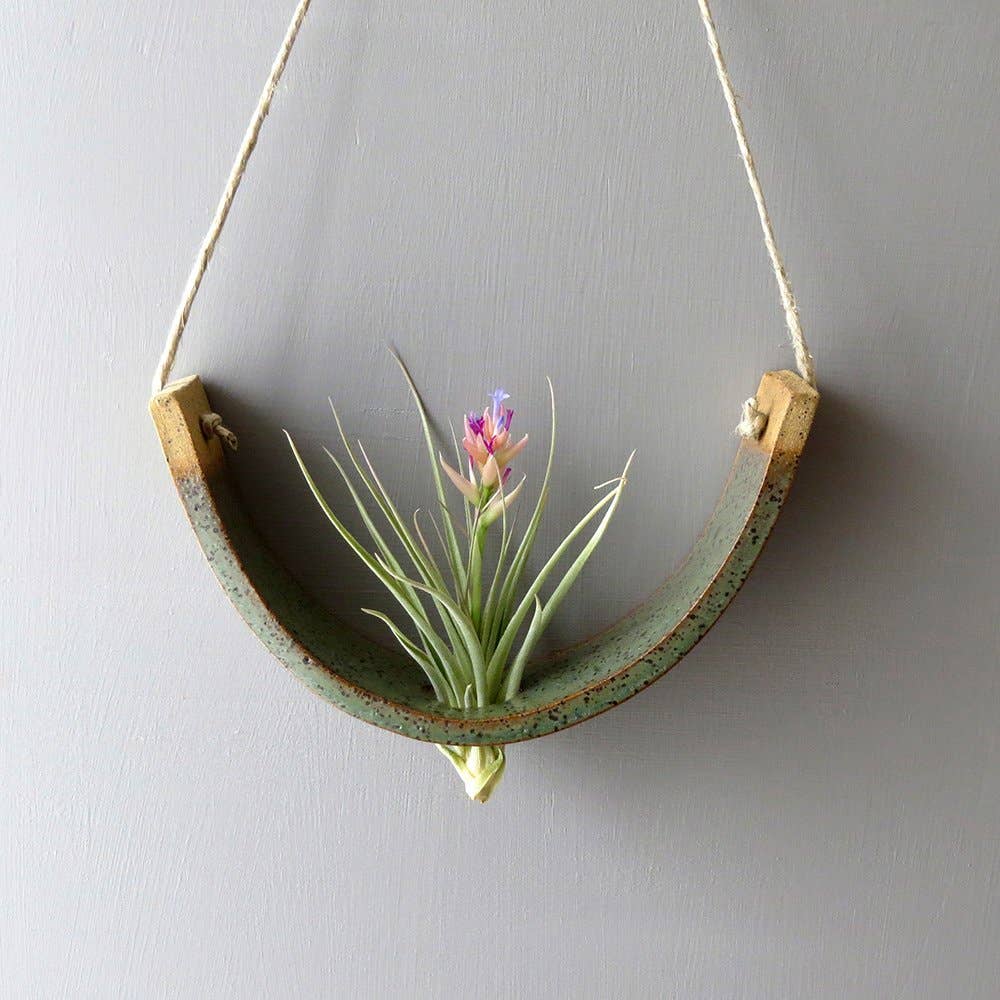 Hanging Air Plant Cradle - Gunmetal Green Planter Vase