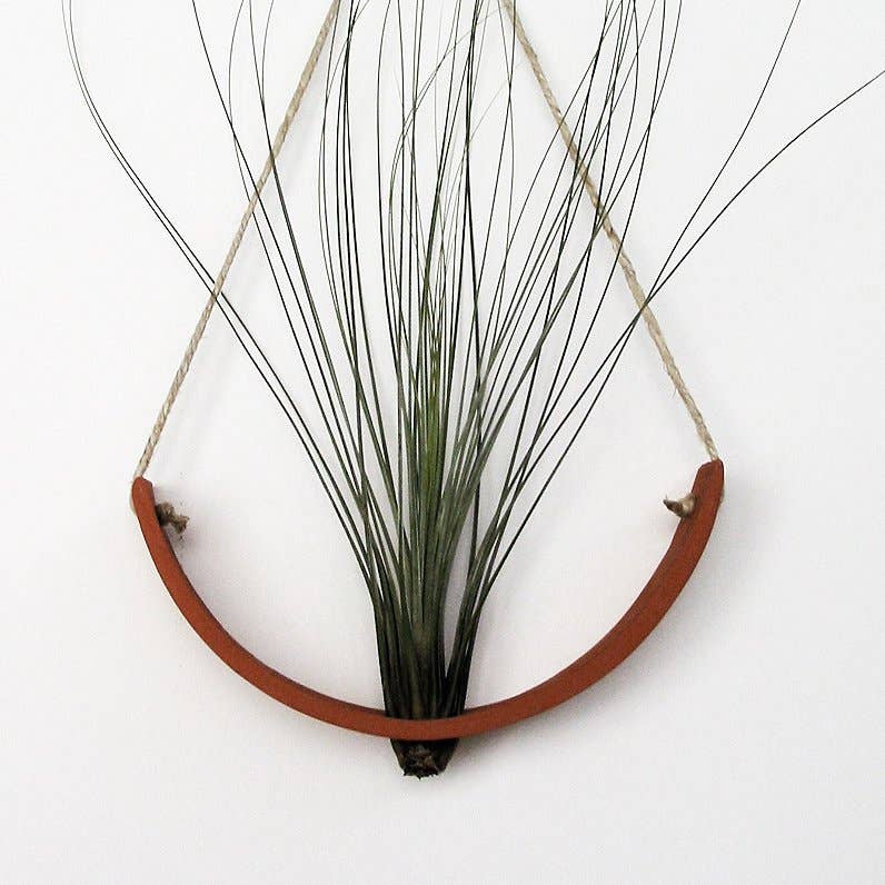 Hanging Ceramic Air Plant Cradle Terracotta