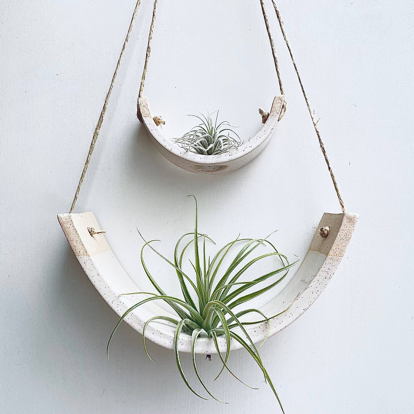 Small Speckle Buff Hanging Air Plant Cradle Dipped in Gloss