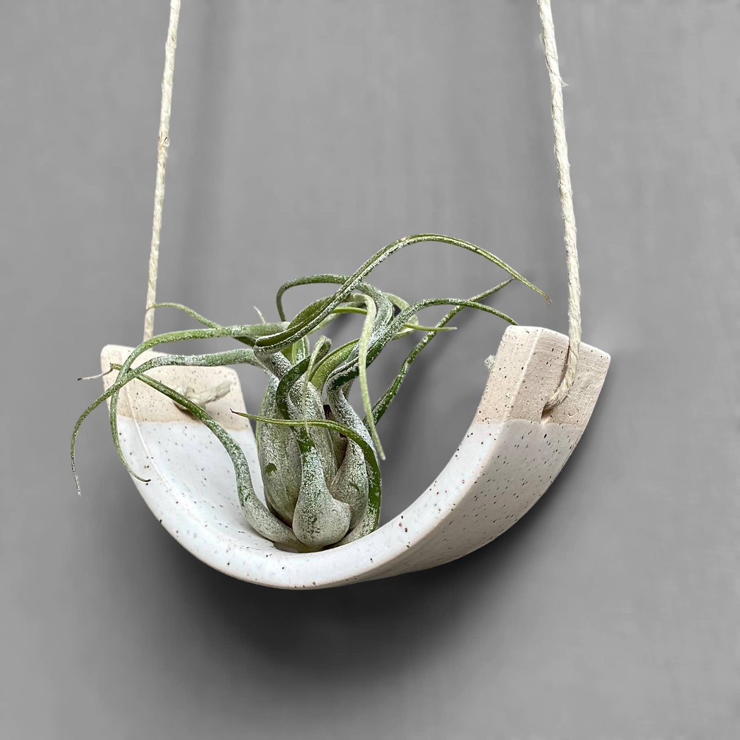 Small Speckle Buff Hanging Air Plant Cradle Dipped in Gloss