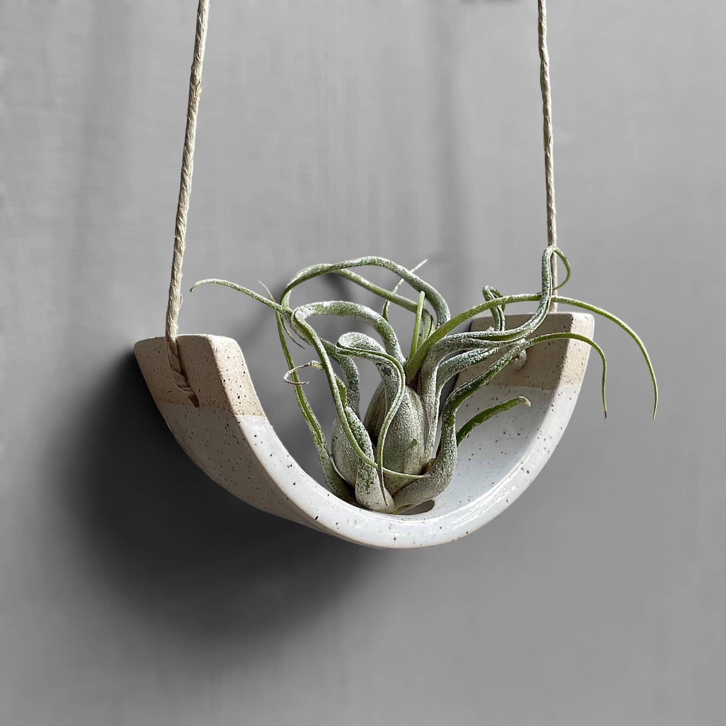 Small Speckle Buff Hanging Air Plant Cradle Dipped in Gloss